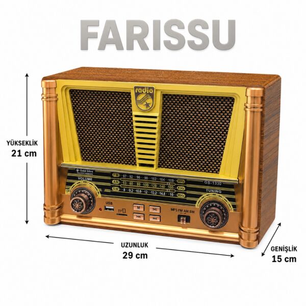 GS-1350 Gold Silver Nostaljik Radyo