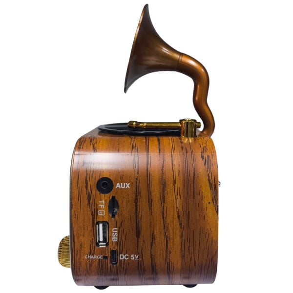 Gold Silver GS-1310 Nostaljik Tasarım Bluetooth  Radyo
