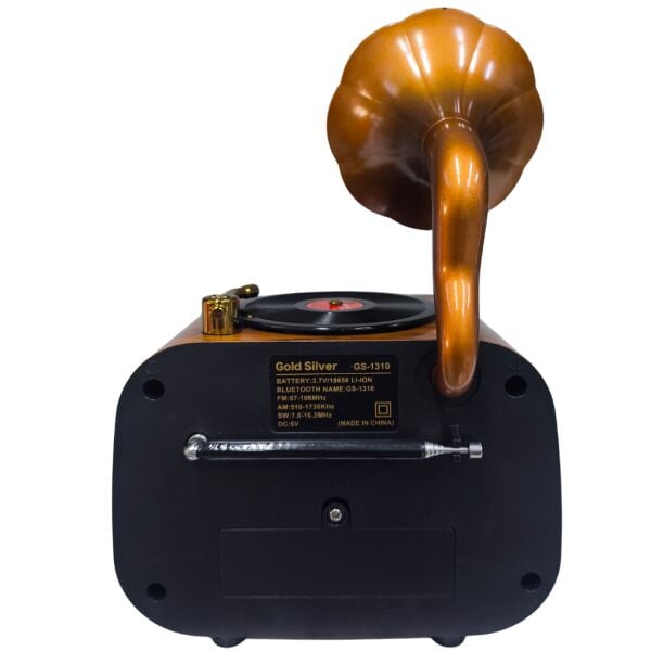Gold Silver GS-1310 Nostaljik Tasarım Bluetooth  Radyo