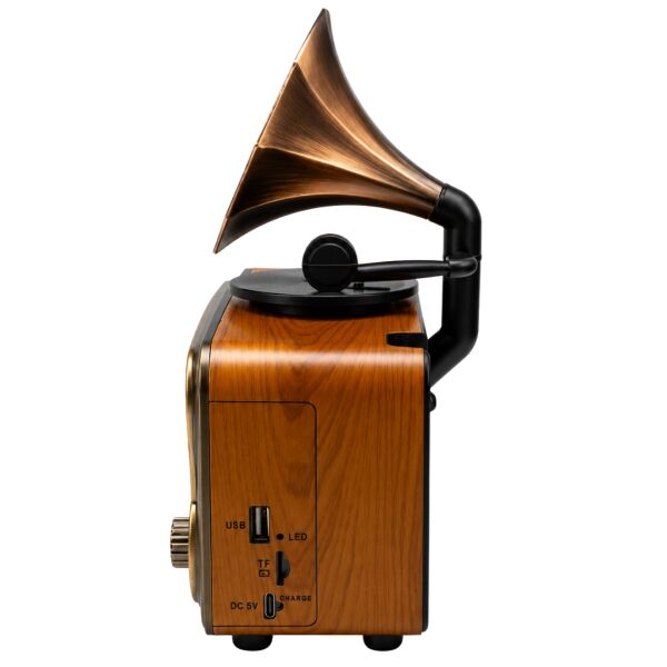 Gold Silver GS-1370 Nostaljik Gramofon Tasarımlı Bluetoothlu 3-Band Radyo & Müzik Çalar
