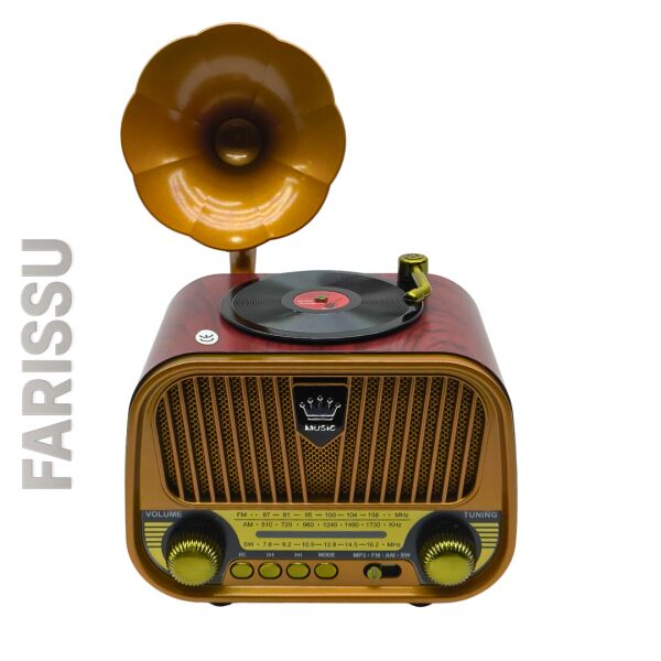 Nostaljik Gramofon Tasarımlı Bluetooth Radyo – FM/AM/SW – USB & TF Kart Destekli – Type-C Şarjlı