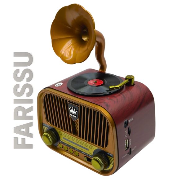 Nostaljik Gramofon Tasarımlı Bluetooth Radyo – FM/AM/SW – USB & TF Kart Destekli – Type-C Şarjlı